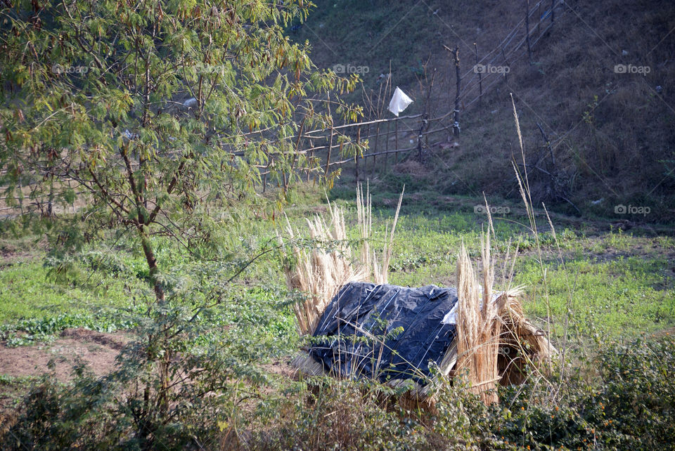 Temporary hut among the fields - giving shelter and protection to the farmer during cold weather.