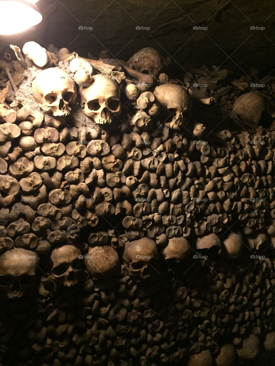 Paris France catacomb, bones and skulls 