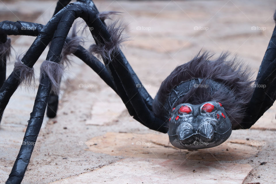 Black large spider, Halloween decoration