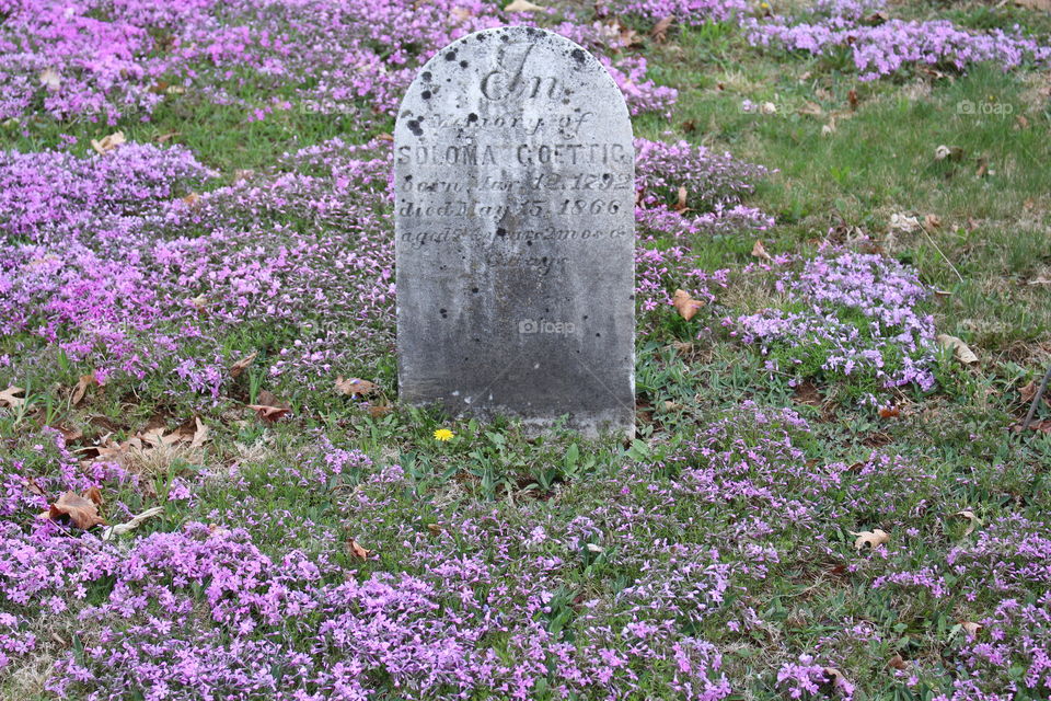 Floral tombstone 