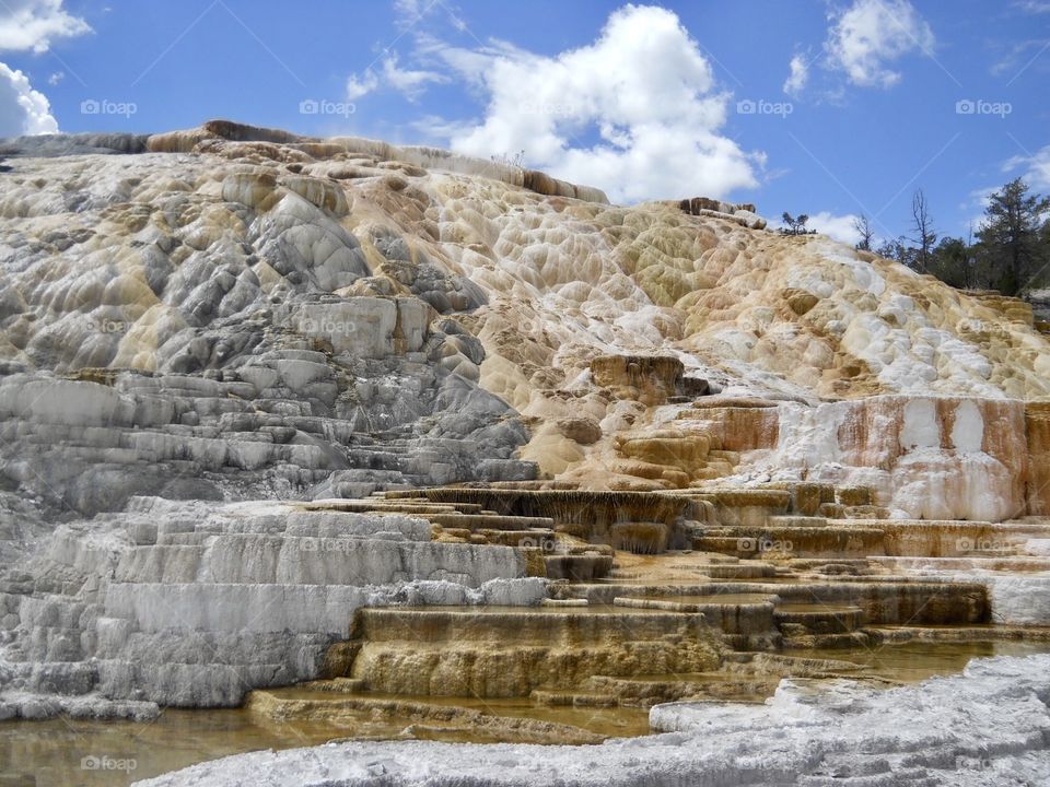 Mammoth Hot Springs, Yellowstone National Park,  Wyoming 