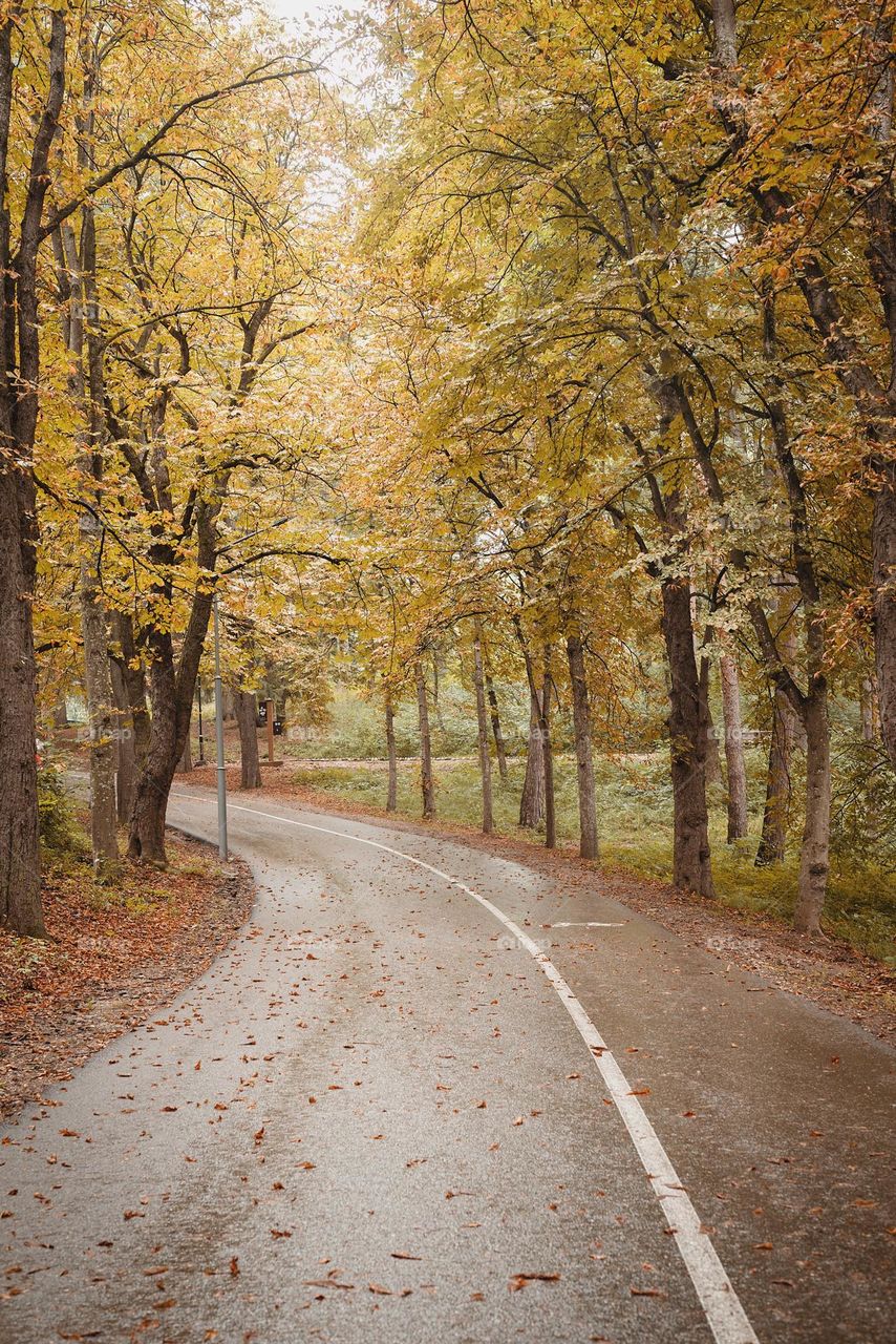 autumn palette