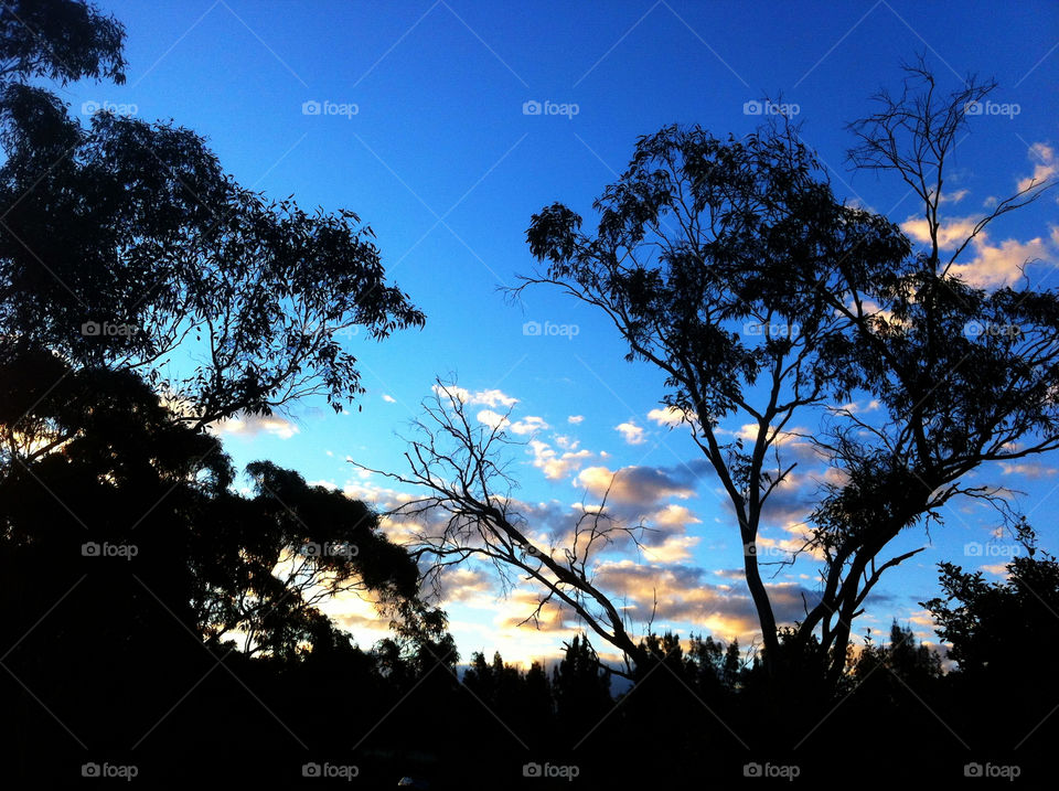 sky blue outdoor sunset by king