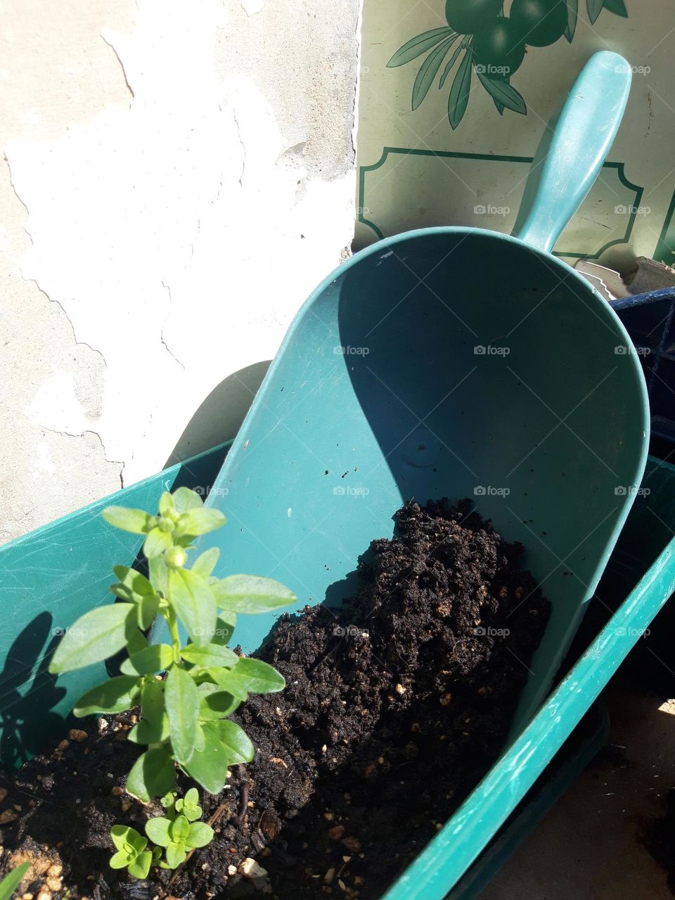 Working for the plants!