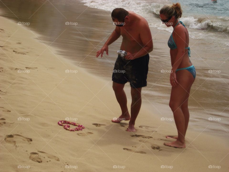 Flowers in the Sand