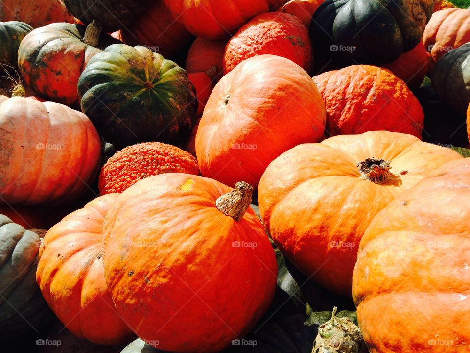 Wagon Load of Pumpkins