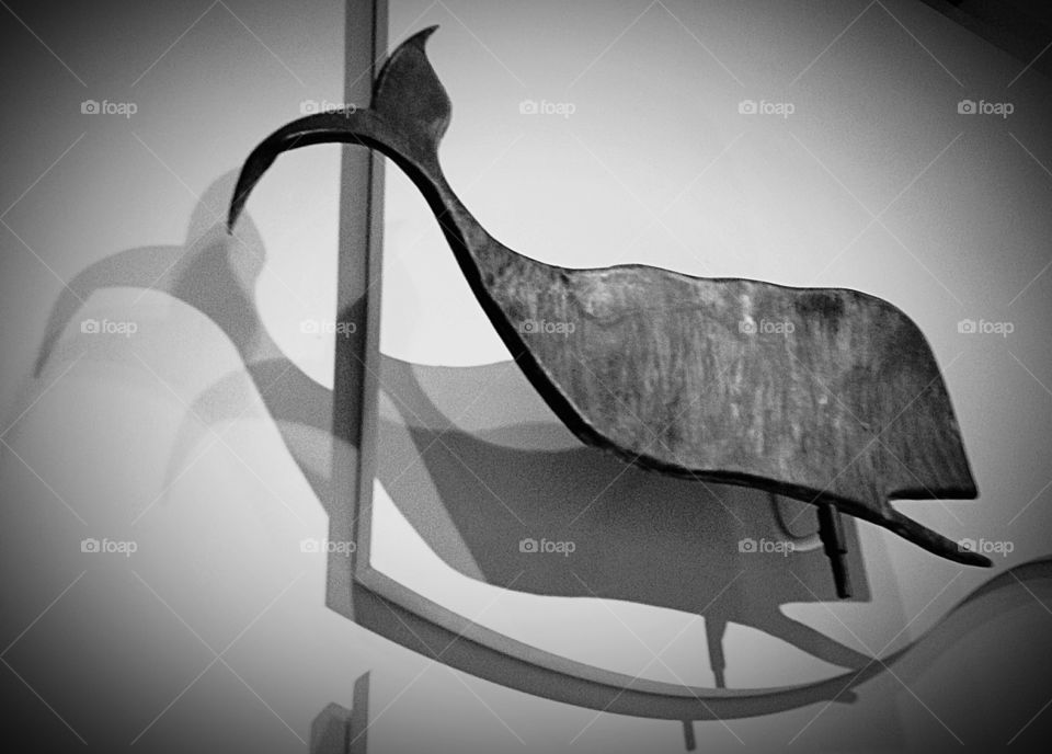 Wooden empty fish chair