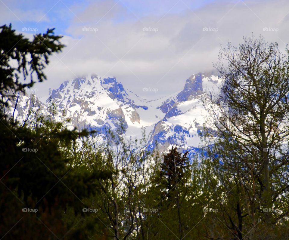 Cloud Tipped Teton Peaks