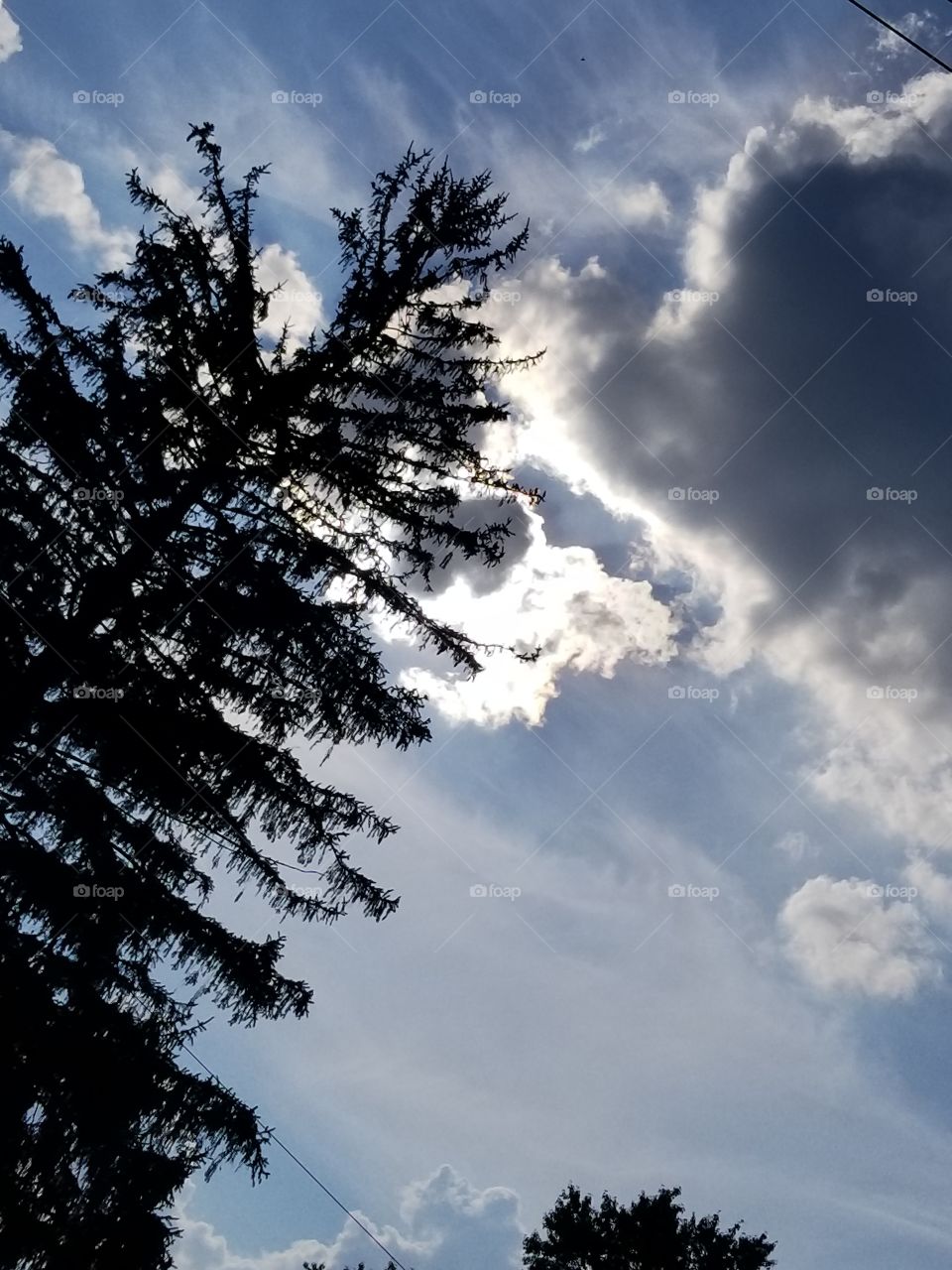 I was laying in the grass in my back yard and was moving my camera in different directions. This picture shows how looking up can show you the most wonderful surprises.