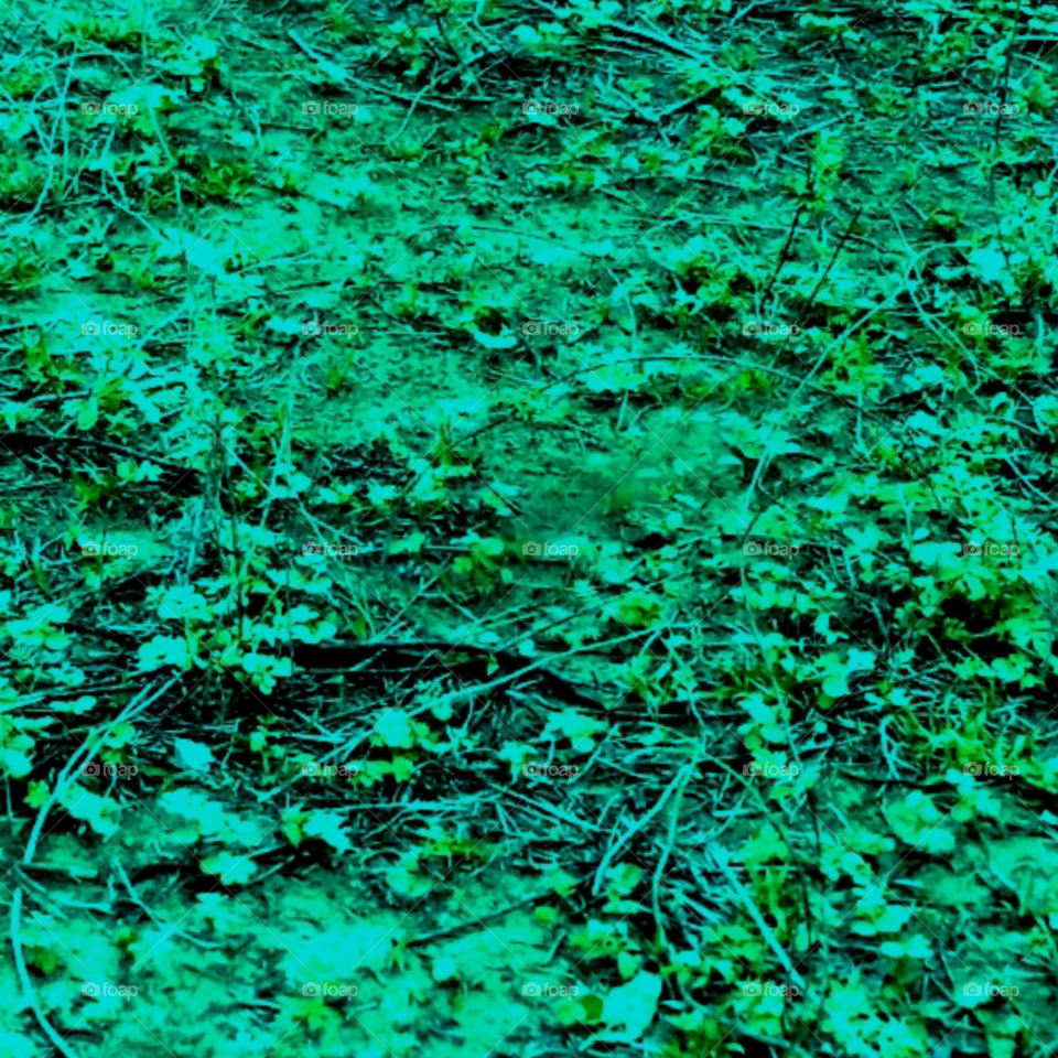 beautiful green image