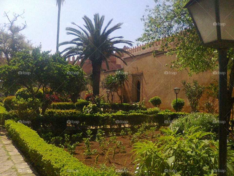 andalusian gardens rabat morocco