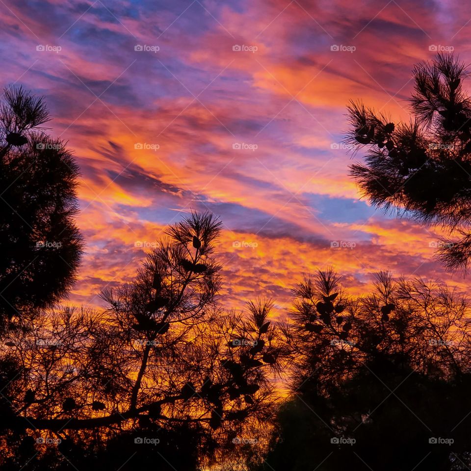 Stunning Arizona sunset in vibrant orange and blue