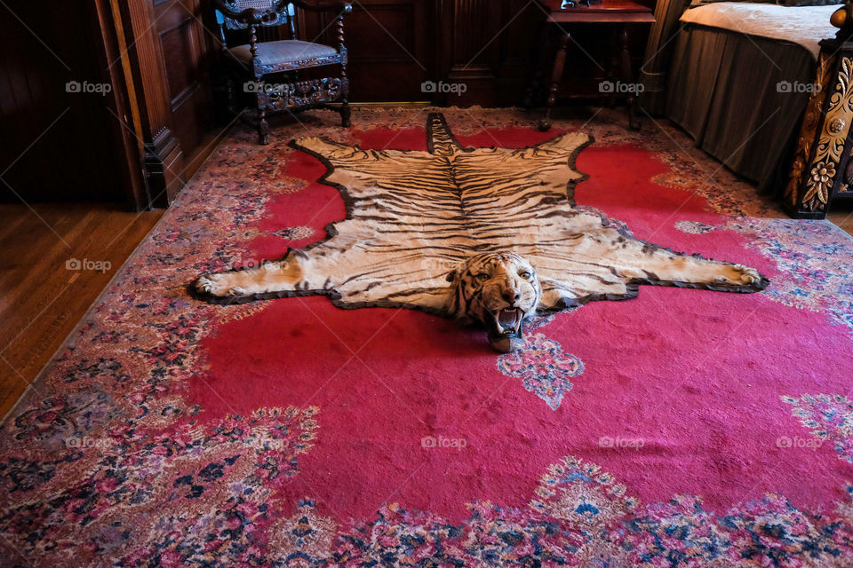 Tiger carpet