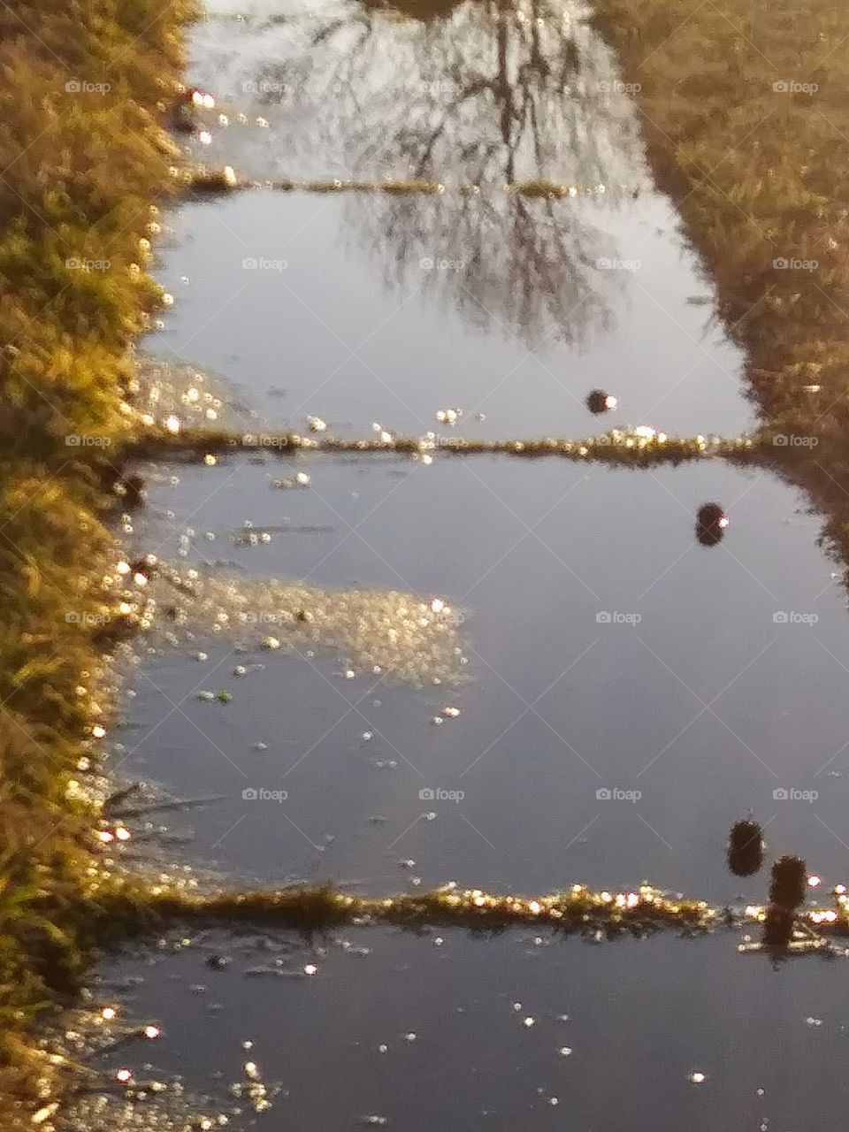 early evening and wet sidewalk