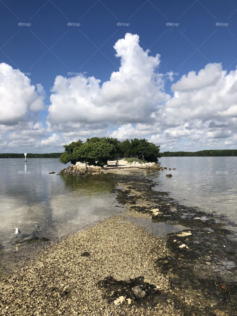 Land in the distance