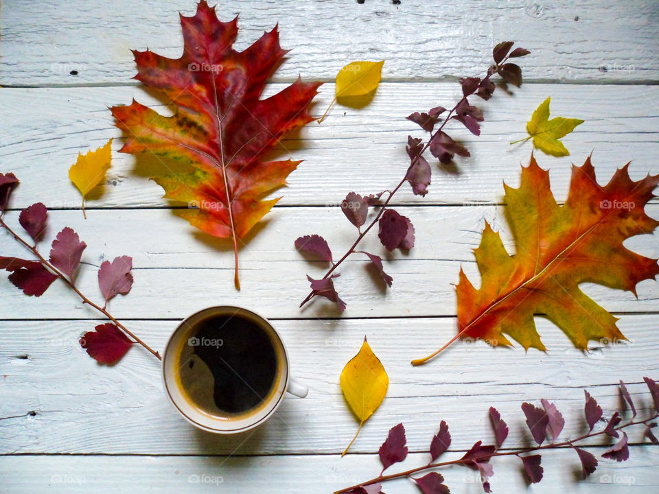 coffee cup and autumn leaves