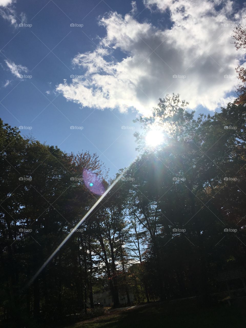 Summer afternoon sky