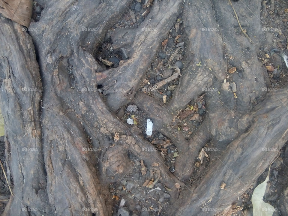 Rock, No Person, Desktop, Nature, Texture