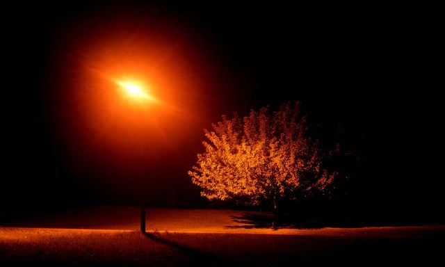 Light up the tree