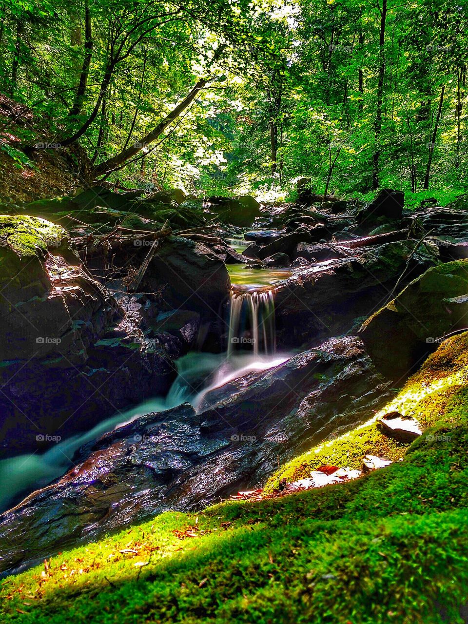 Cascade in the forest. . A waterfall cascading in the forest near sunset. 