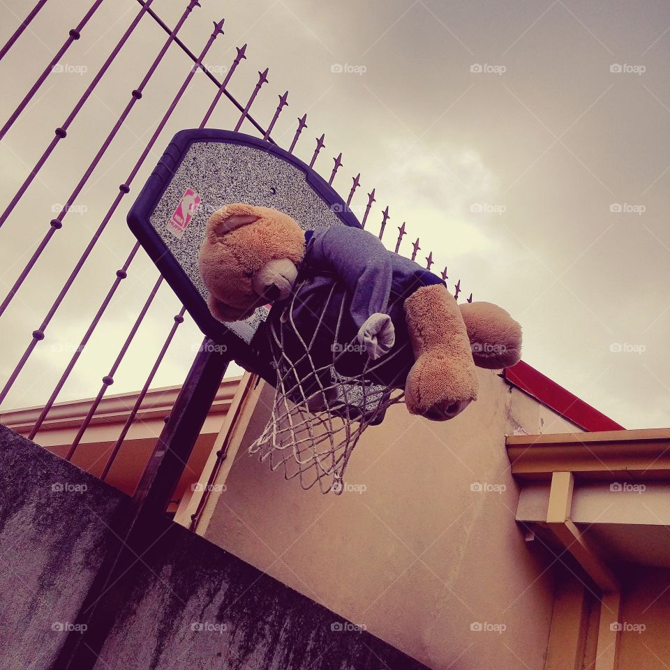 Teddy Bear trap in the hoop