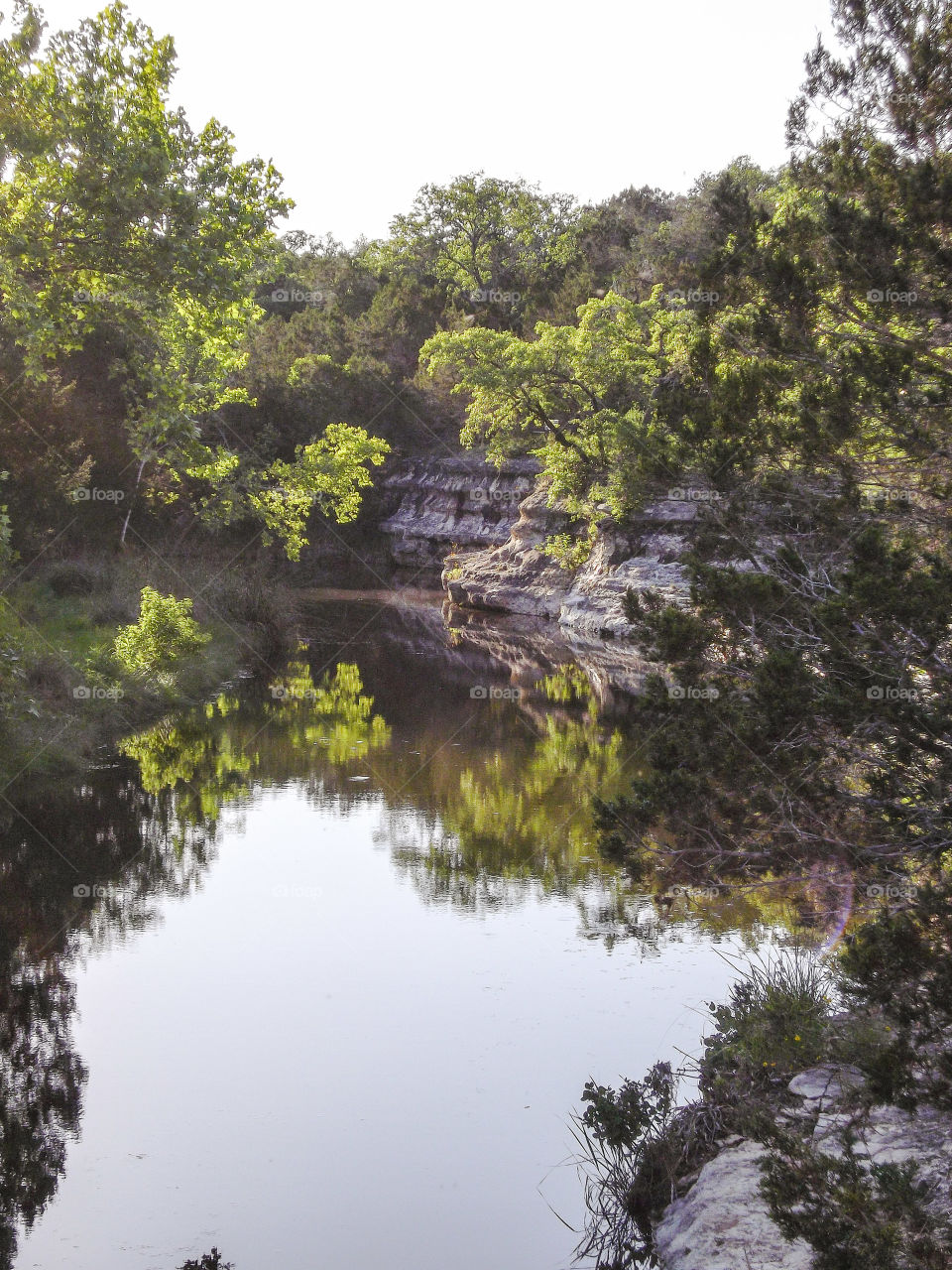 Peaceful swimming hole