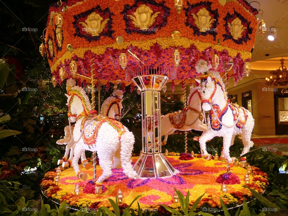 Flowers carousel