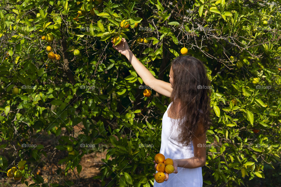 Orange