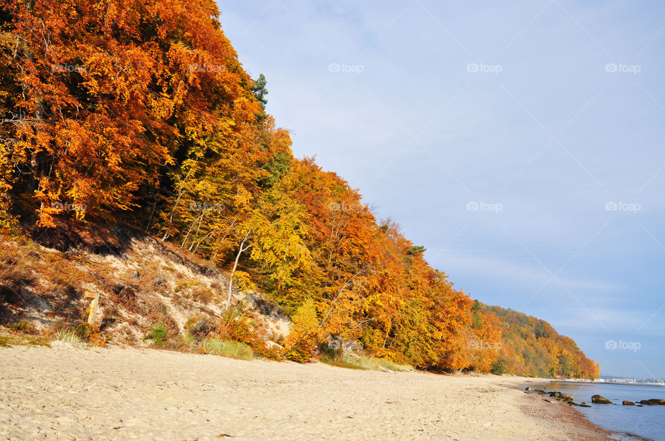 Autumn beach 