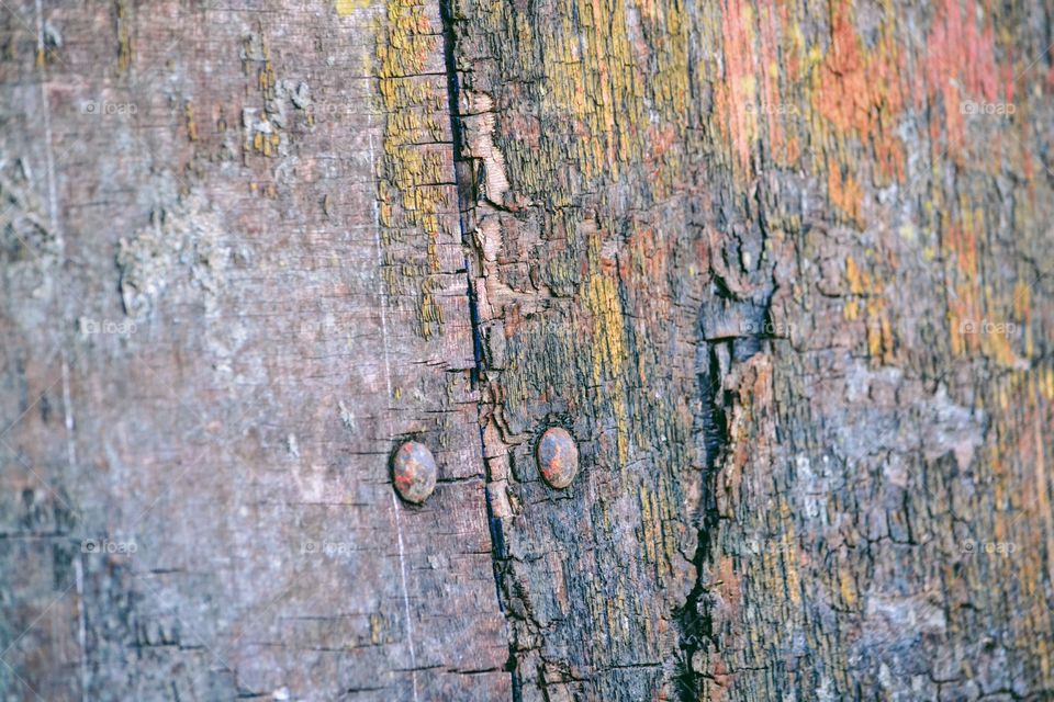 Wooden texture