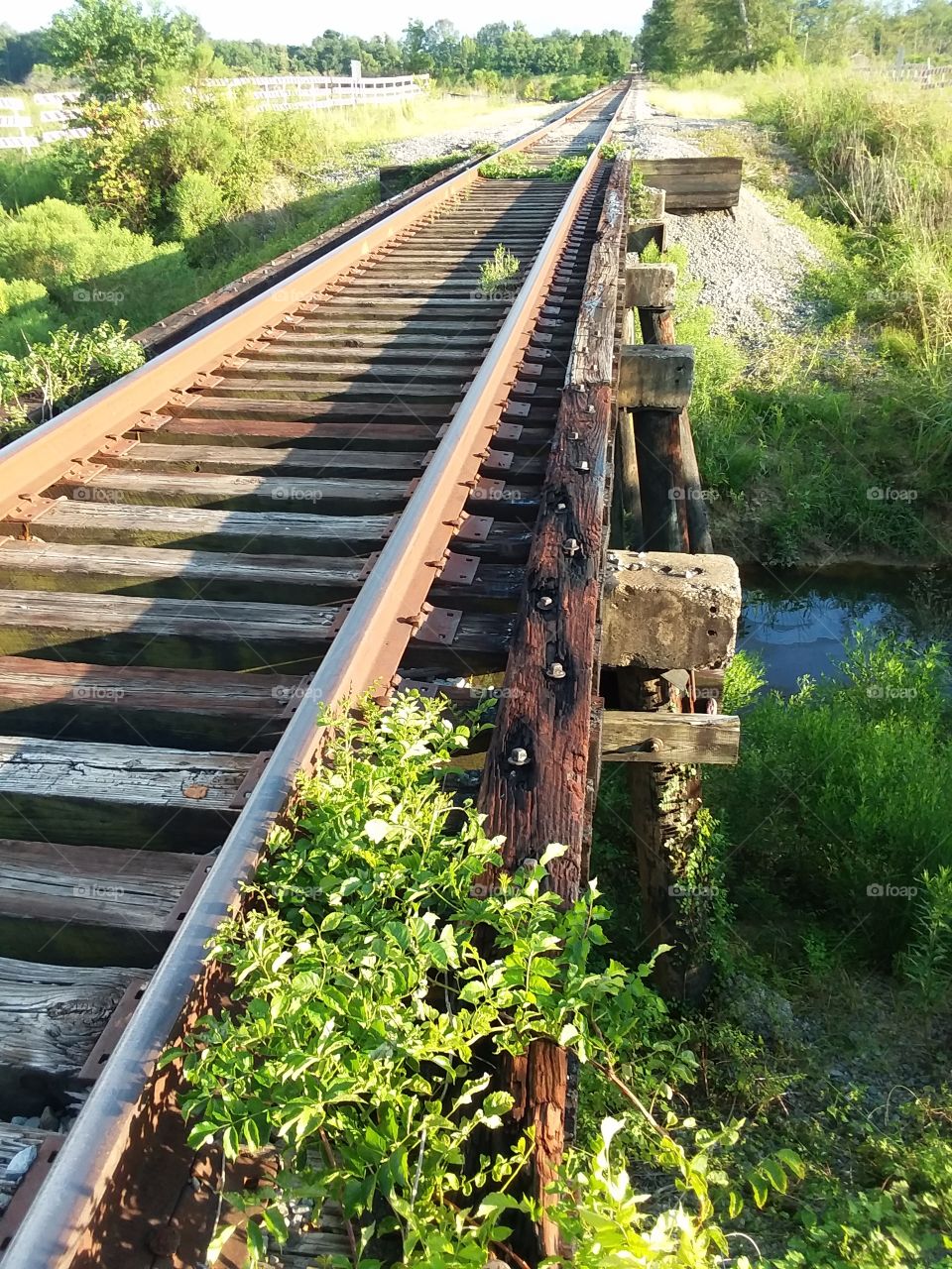 Mississippi rail