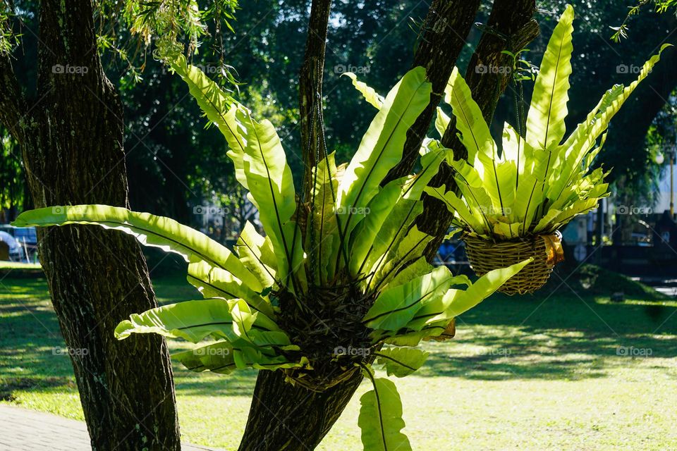 Try to leave the Earth a better place than when you arrived. Do something green today.