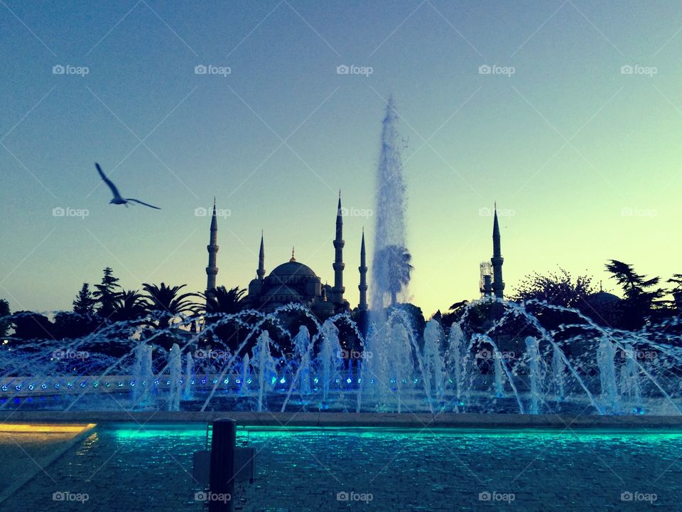 The Blue Mosque/Istanbul/dusk