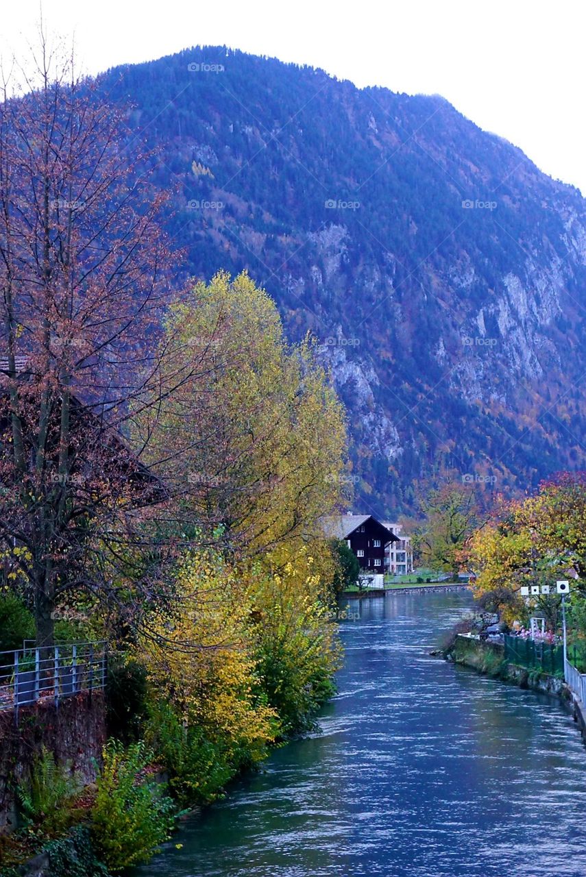 Autumn#river#colors