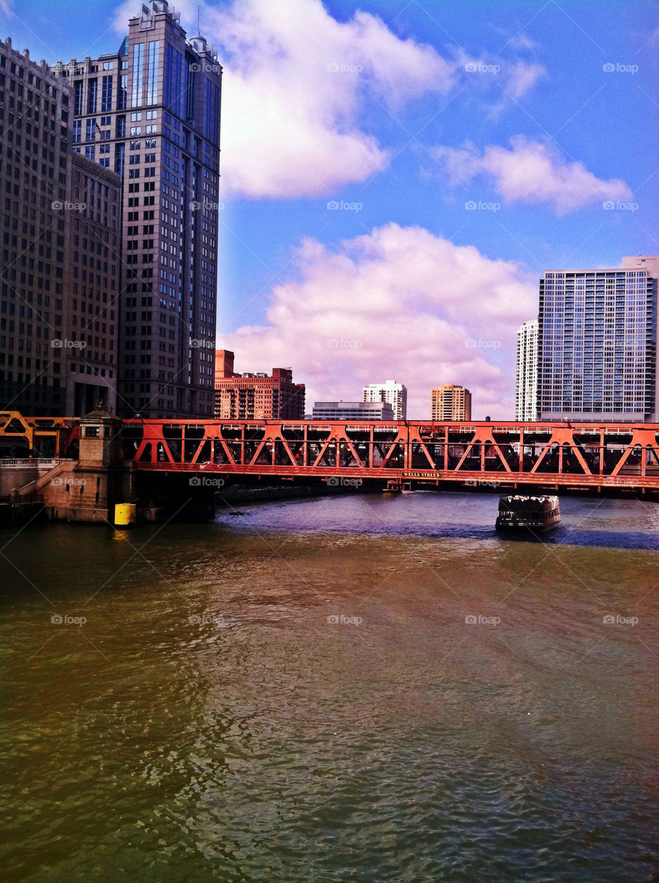 bridge beauty by eryng83