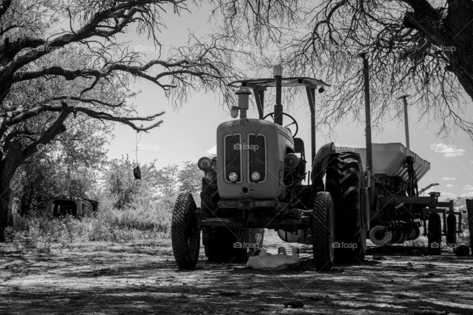 ducks resting below tractor