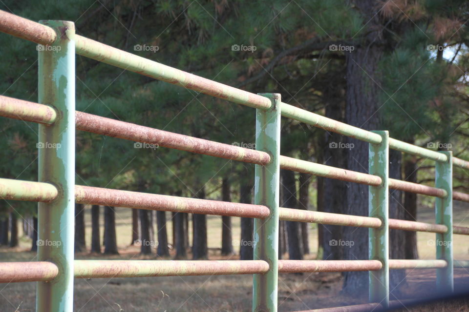 Green fencing