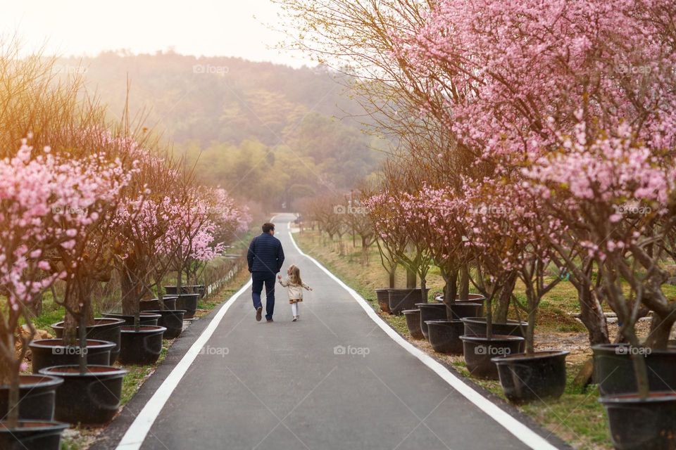 Family walking in country at spring 