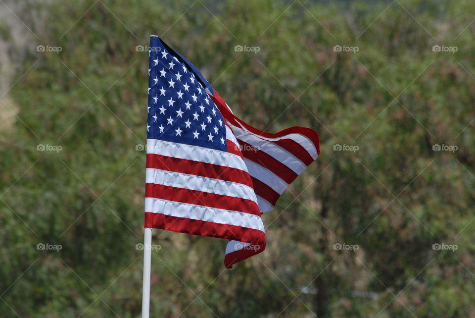 The American flag blowing in the wind on a summer day against the green background of the trees!