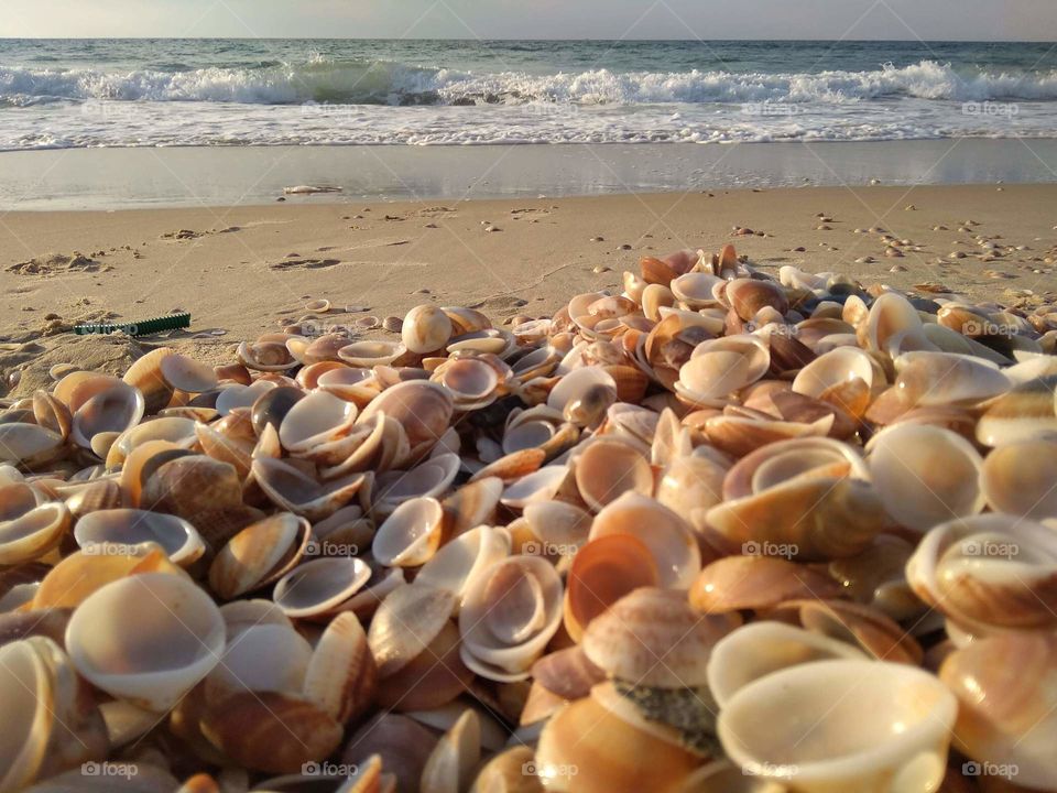 Thousand Shell Beach - Ashdod, Israel