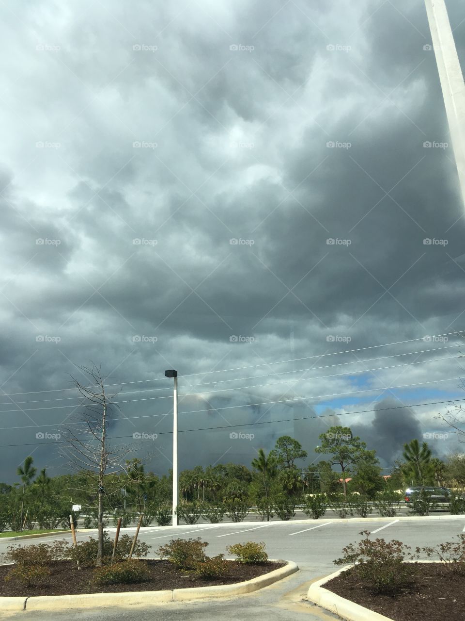 Florida weather 