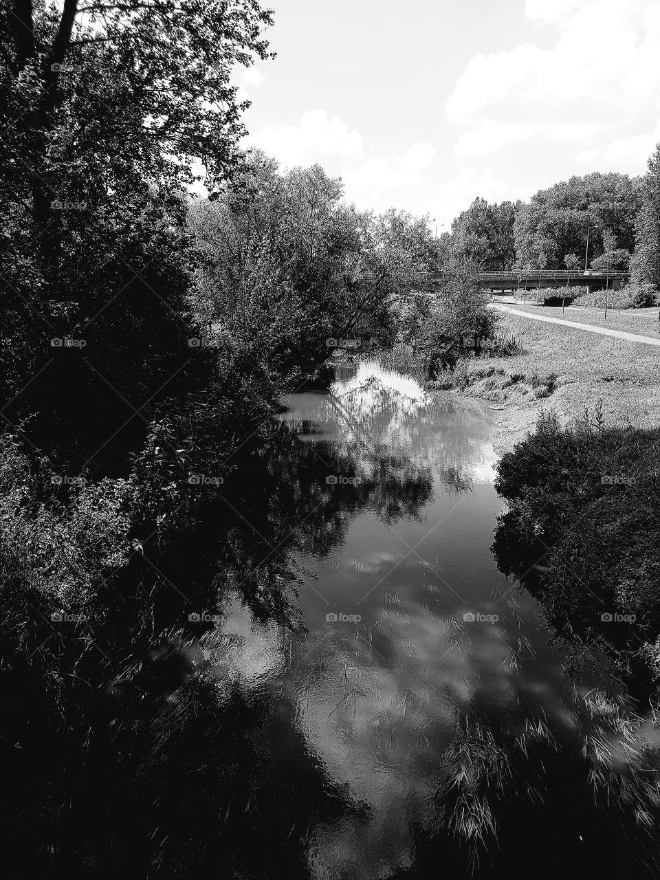 black and white river