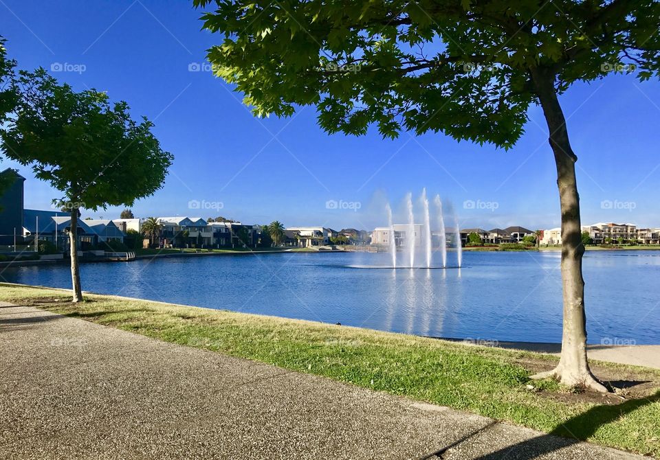 Going for a walk around our local lake