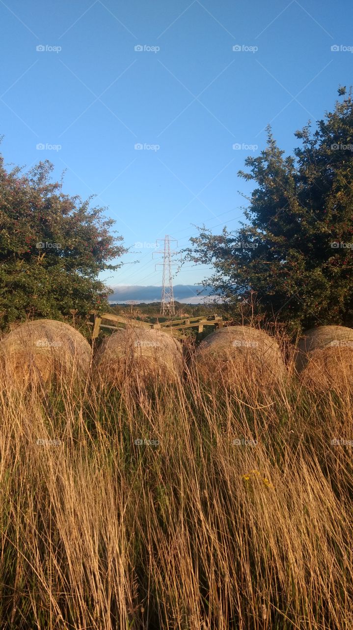 Pylon in the hay bales