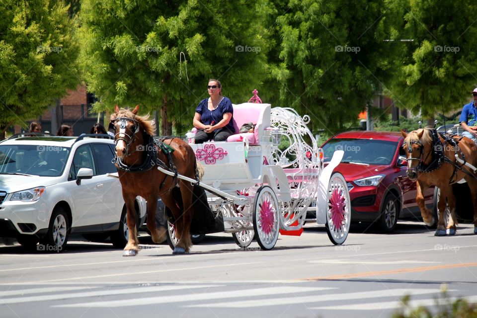 Cinderella carriage 