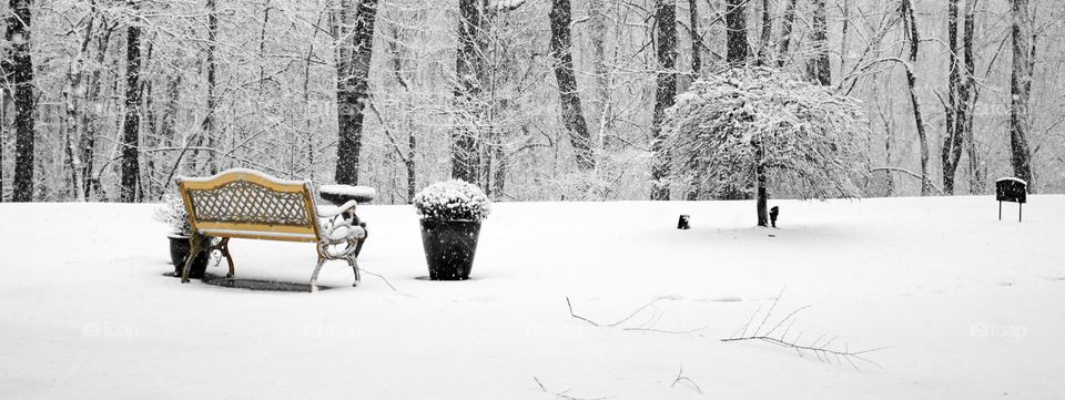 Snowfall in Chesapeake Beach