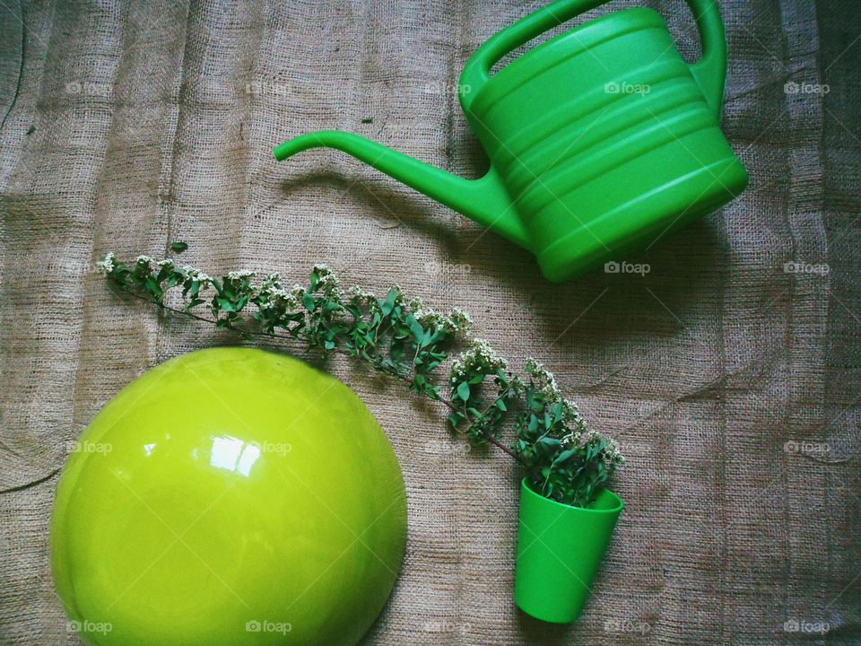 Green watering can, green glass and green dry twig