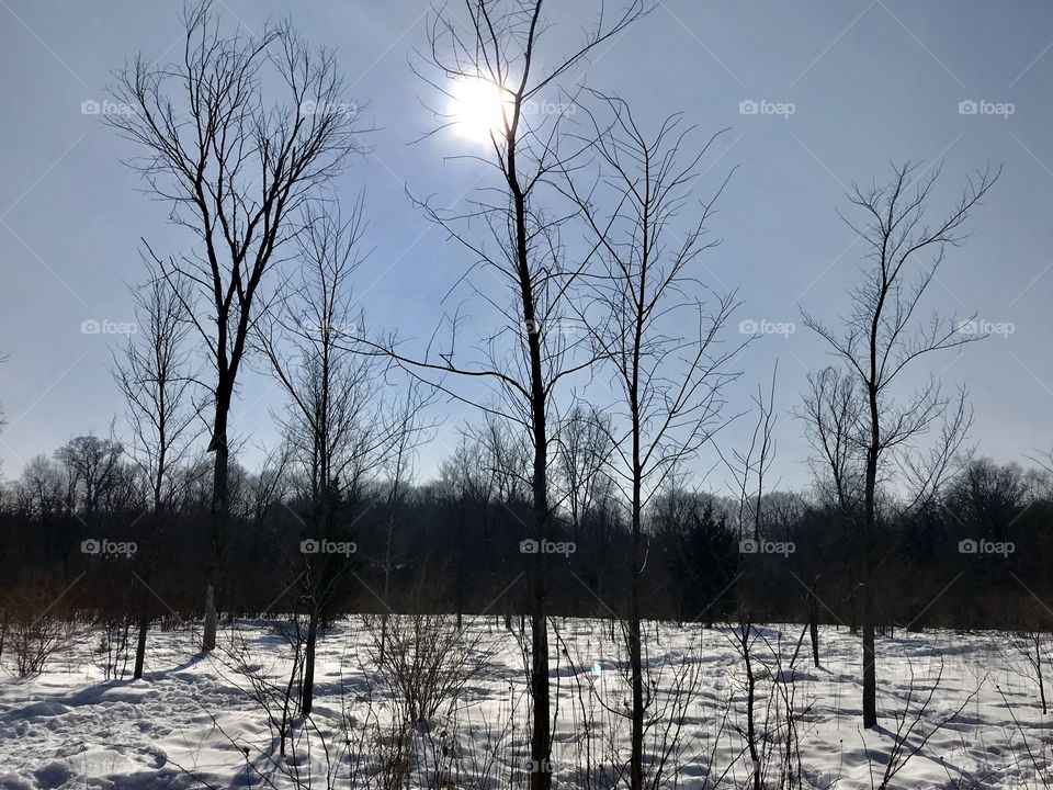 Winter sunshine in Canada 