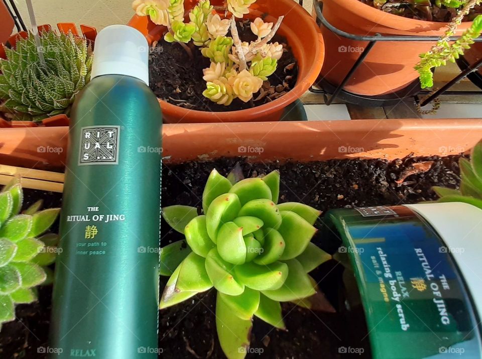 A Ritual of Body & Mind