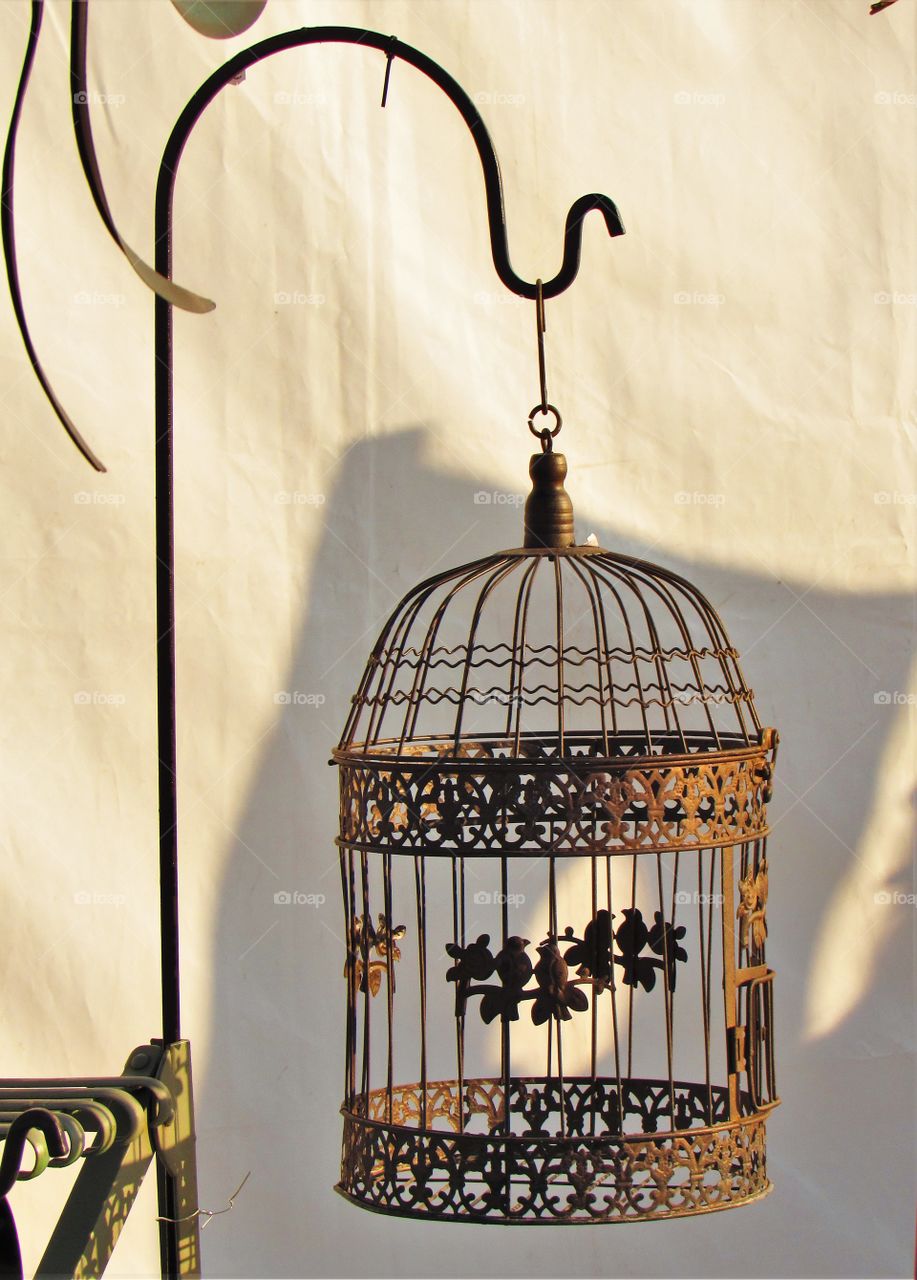 Ornate  cage